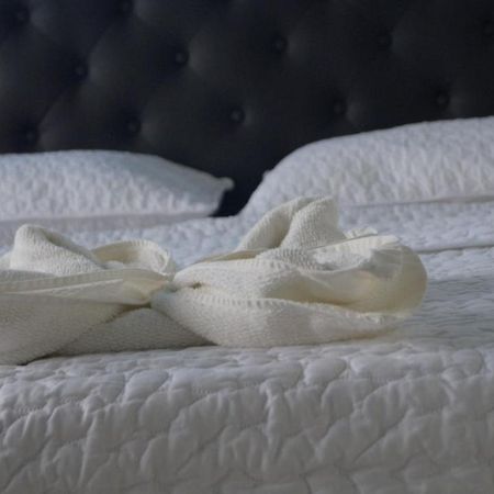 Hostal Magica Noche Filandia Hotel Ngoại thất bức ảnh