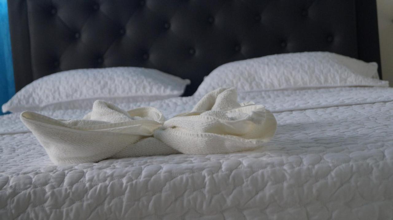 Hostal Magica Noche Filandia Hotel Ngoại thất bức ảnh