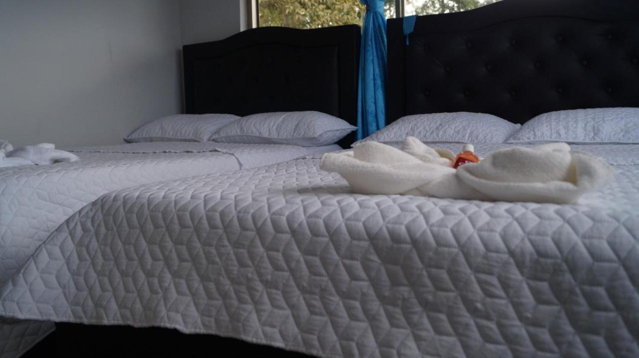 Hostal Magica Noche Filandia Hotel Ngoại thất bức ảnh